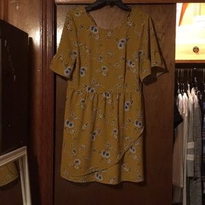 Dress but can be used as a shirt